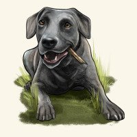 Texas Blue Lacy Dog Premium Hoodie | Teevron