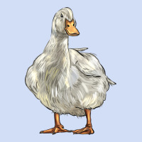 American Pekin Duck Urban Hoodie | Teevron