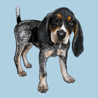 Bluetick Coonhound Premium Hoodie | Teevron
