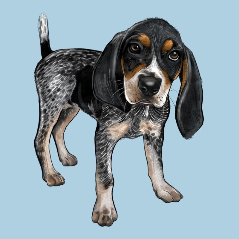 Bluetick Coonhound Premium Hoodie by LillyAllenDesigns | Teevron