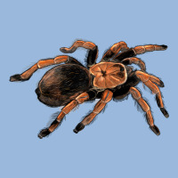 Mexican Red Knee Tarantula Premium Hoodie | Teevron