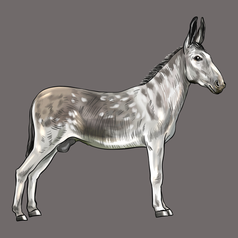 Andalusian Donkey Urban Hoodie by LillyAllenDesigns | Teevron