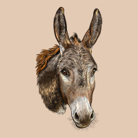 Andalusian Donkey Face Urban Hoodie | Teevron