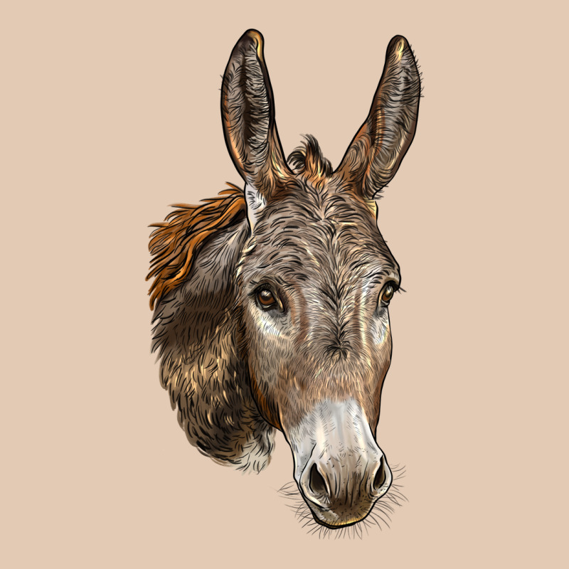 Andalusian Donkey Face Urban Hoodie by LillyAllenDesigns | Teevron