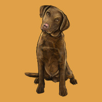 Chesapeake Bay Retriever Premium Hoodie | Teevron