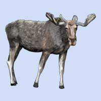 Moose Buck Deer Urban Hoodie | Teevron