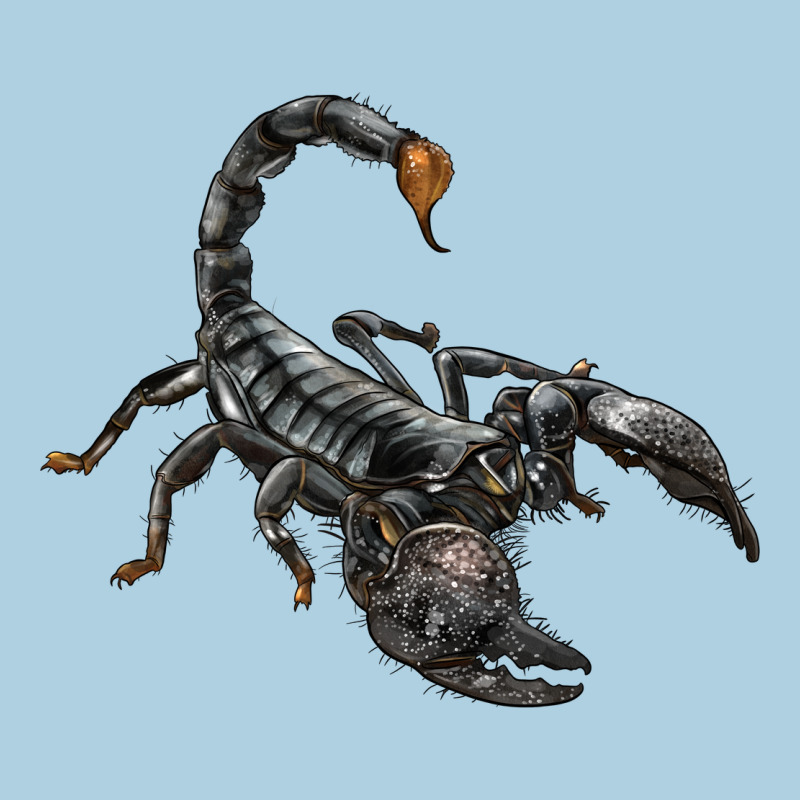 Scorpion Premium Hoodie by LillyAllenDesigns | Teevron