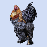 Brahma Rooster Urban Hoodie | Teevron
