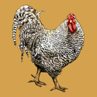 Dominique Rooster Urban Hoodie | Teevron