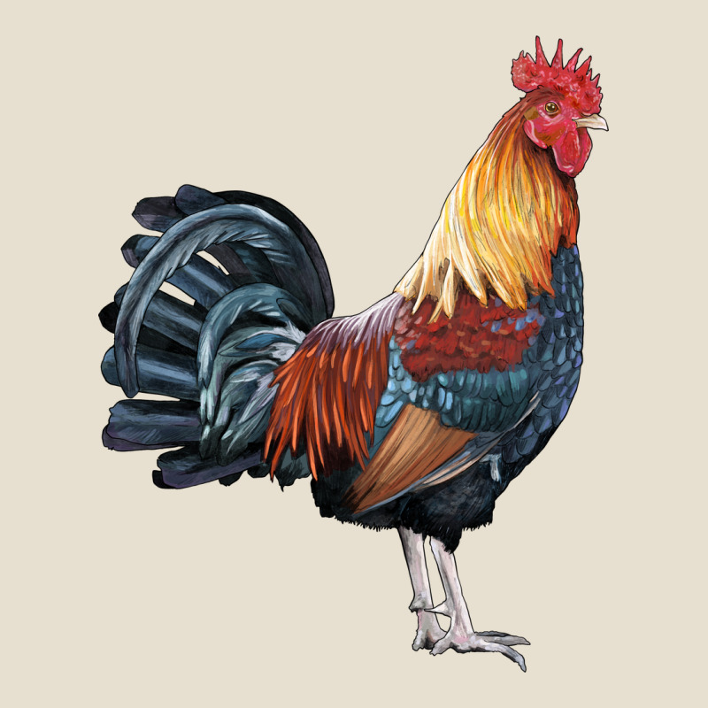 New Hampshire Red Rooster Urban Hoodie by LillyAllenDesigns | Teevron