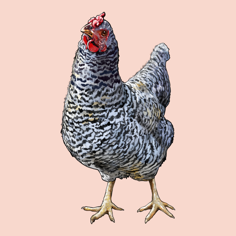 Dominique Chicken Urban Hoodie by LillyAllenDesigns | Teevron