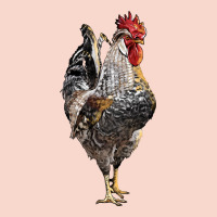 Cream Legbar Rooster Urban Hoodie | Teevron