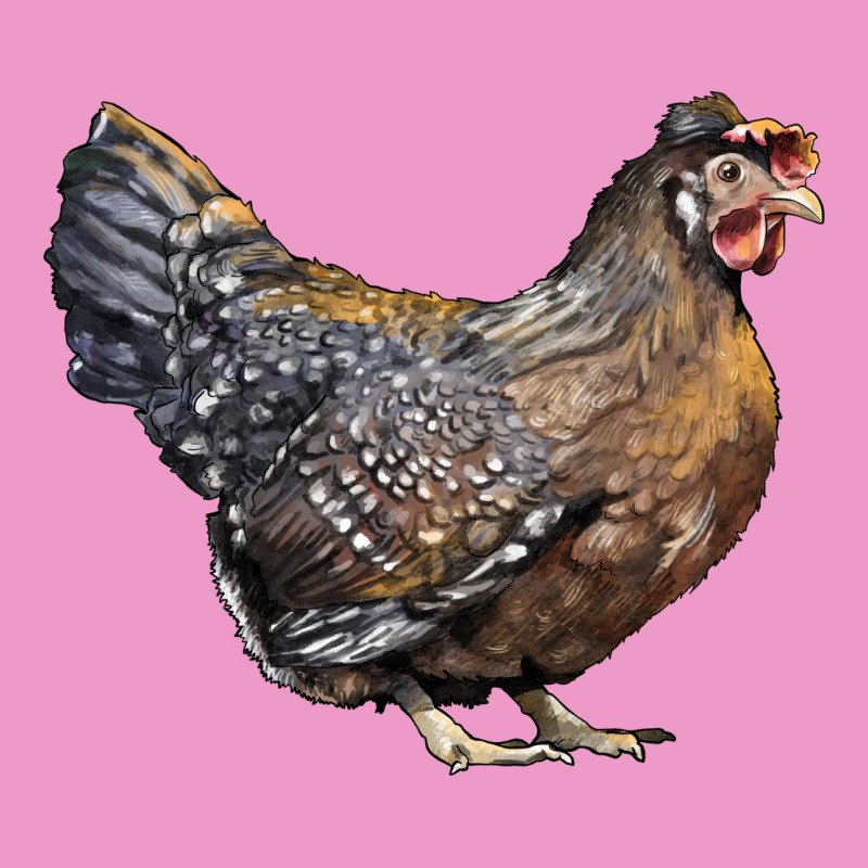 Cream Legbar Chicken Urban Hoodie by LillyAllenDesigns | Teevron