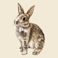 Rabbit Premium Hoodie | Teevron