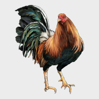 American Game Rooster Urban Hoodie | Teevron