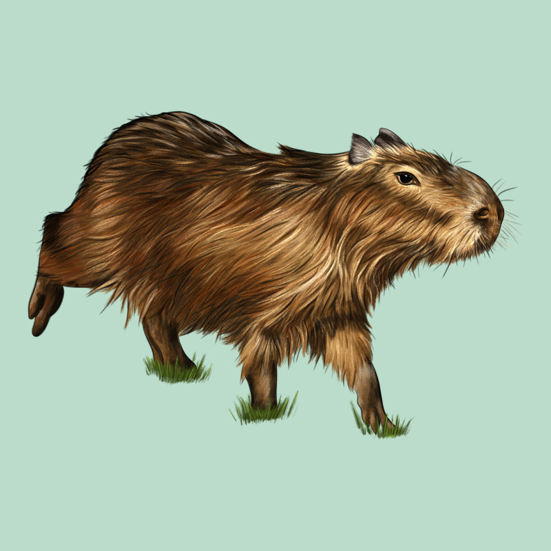 Capybara Premium Hoodie by LillyAllenDesigns | Teevron