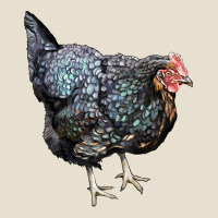 Jersey Giant Chicken Urban Hoodie | Teevron