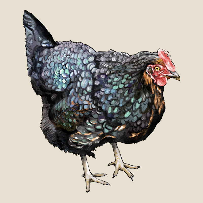 Jersey Giant Chicken Urban Hoodie by LillyAllenDesigns | Teevron