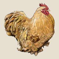 Cochin Rooster Urban Hoodie | Teevron