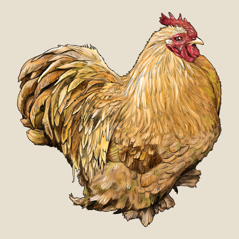 Cochin Rooster Urban Hoodie by LillyAllenDesigns | Teevron