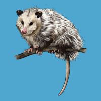 Opossum Premium Hoodie | Teevron