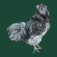Ameraucana Rooster Urban Hoodie | Teevron