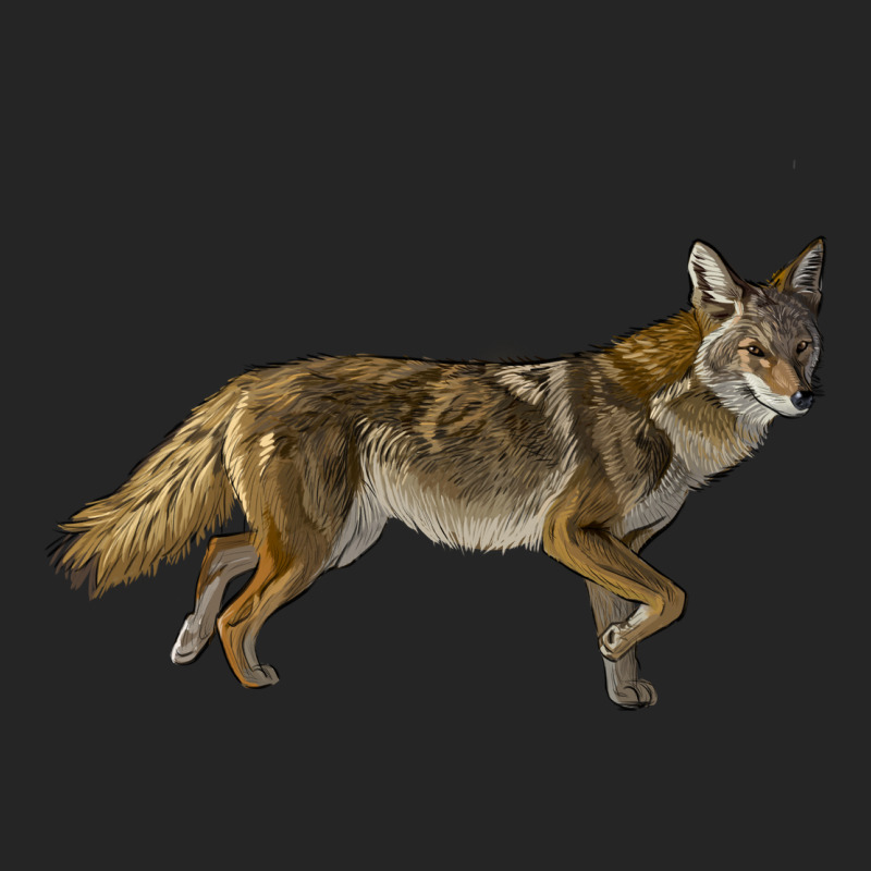 Coyote Premium Hoodie by LillyAllenDesigns | Teevron