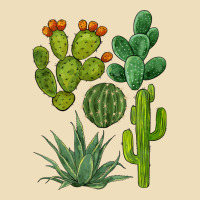 Watercolor Cactus Bundle Preview Premium Hoodie | Teevron