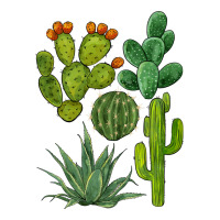 watercolor cactus bundle preview | Teevron