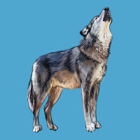 Wolf Premium Hoodie | Teevron