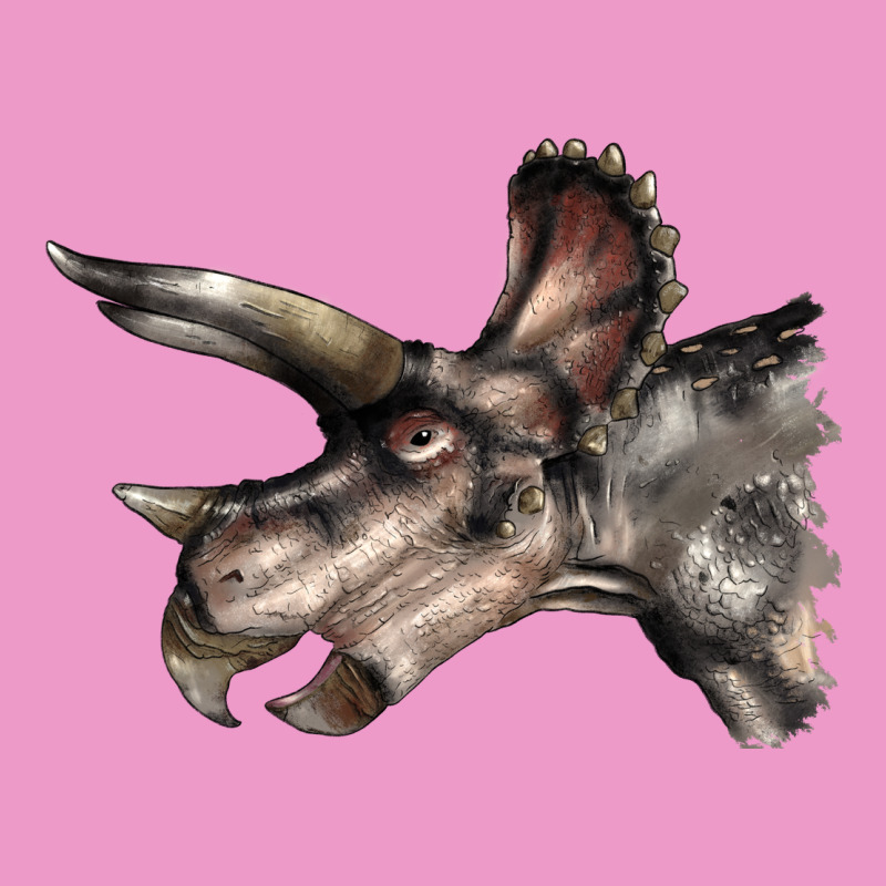 Triceratops Horridus Face Urban Hoodie by LillyAllenDesigns | Teevron