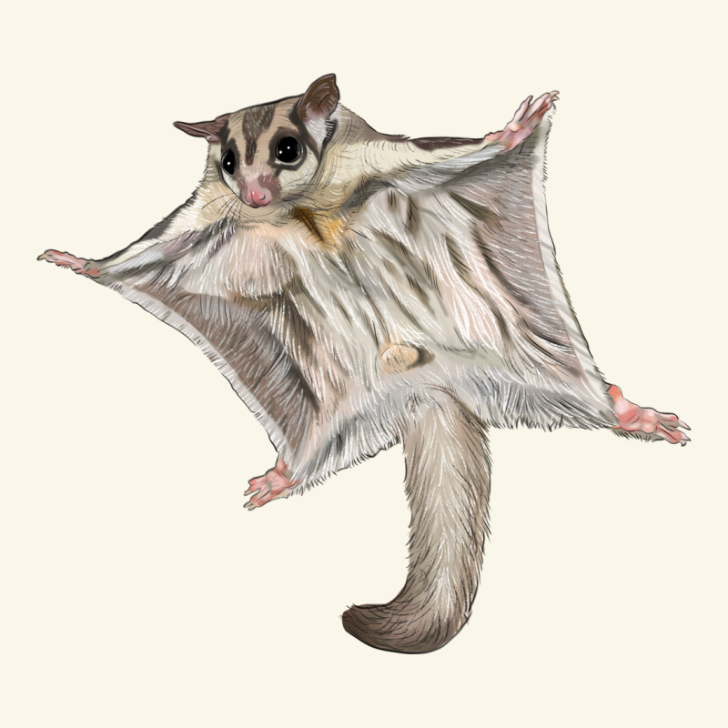Sugar Glider Premium Hoodie by LillyAllenDesigns | Teevron