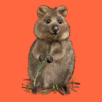 Quokka Premium Hoodie | Teevron