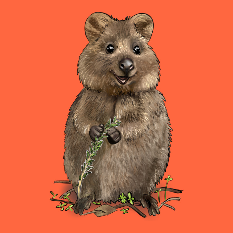 Quokka Premium Hoodie by LillyAllenDesigns | Teevron