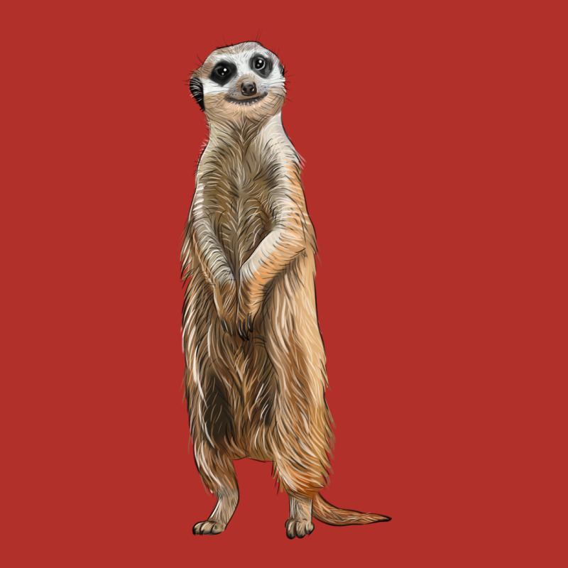 Meerkat Premium Hoodie by LillyAllenDesigns | Teevron