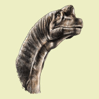 Brachiosaurus Face Urban Hoodie | Teevron