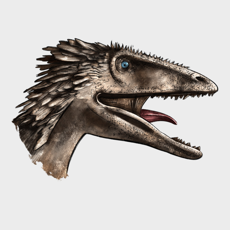 Deinonychus Face Urban Hoodie by LillyAllenDesigns | Teevron