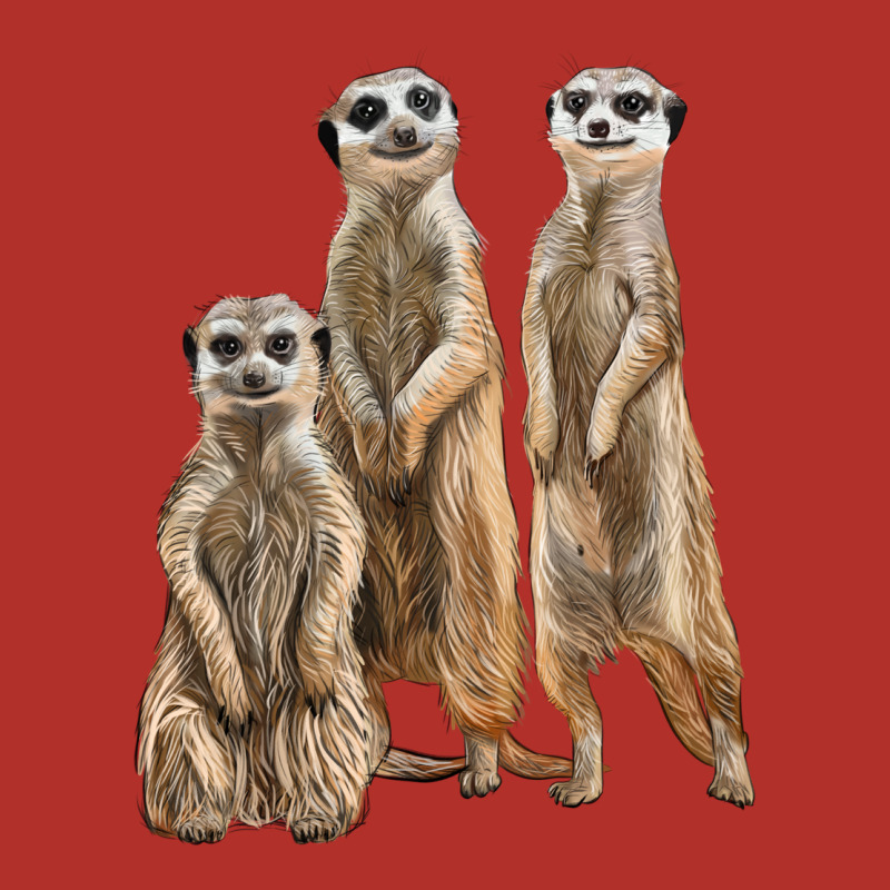3 Meerkat Premium Hoodie by LillyAllenDesigns | Teevron