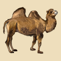 Camel Premium Hoodie | Teevron