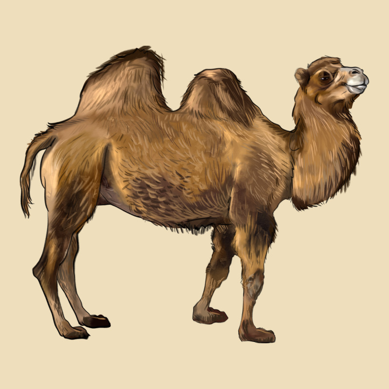 Camel Premium Hoodie by LillyAllenDesigns | Teevron
