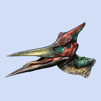 Pteranodon Face Urban Hoodie | Teevron