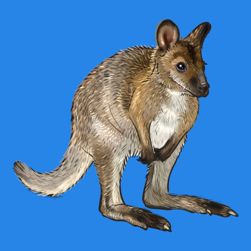 Hand Drawn Wallaby Animal Premium Hoodie by LillyAllenDesigns | Teevron
