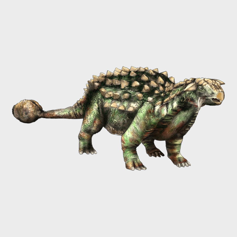 Ankylosaurus T-rex Urban Hoodie by LillyAllenDesigns | Teevron