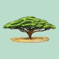Acacia Tree Premium Hoodie | Teevron