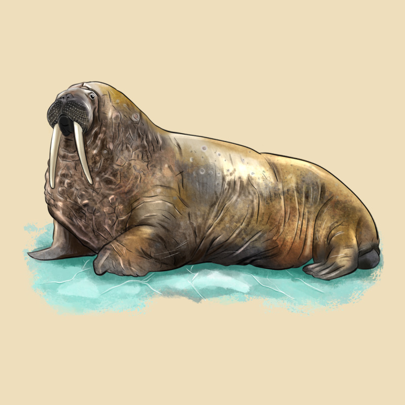 Walrus Premium Hoodie by LillyAllenDesigns | Teevron