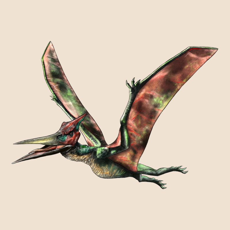 Pteranodon Urban Hoodie by LillyAllenDesigns | Teevron