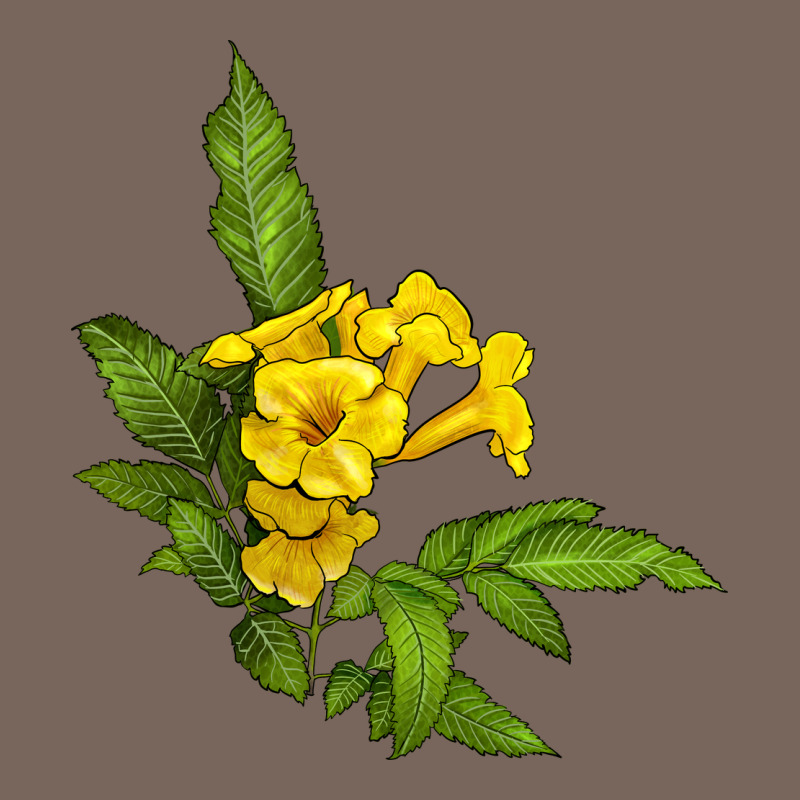 Yellow Elder Flower Premium Hoodie by LillyAllenDesigns | Teevron