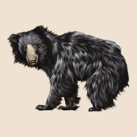 Sloth Bear Urban Hoodie | Teevron