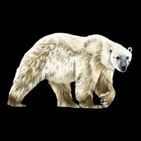 Polar Bear Urban Hoodie | Teevron