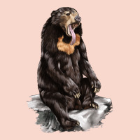 Malayan Sun Bear Urban Hoodie | Teevron